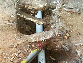 Leak detection and repair